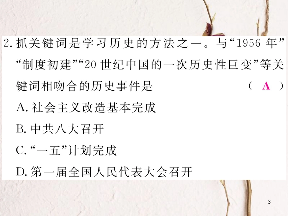 八年级历史下册 期末专题复习 专题二 对社会主义道路的探索练习课件 新人教版_第3页