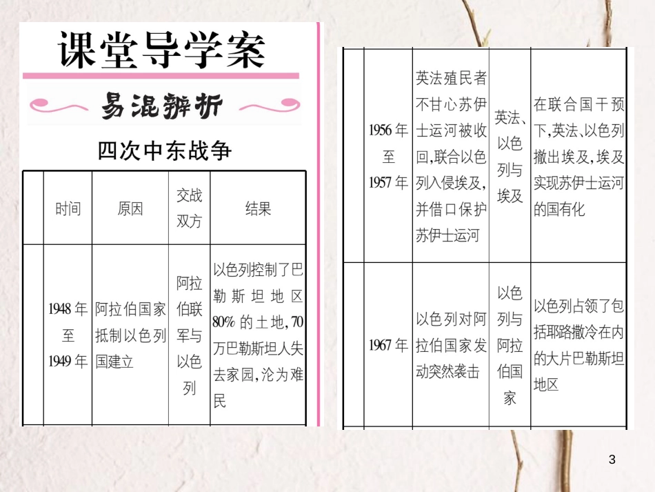 九年级历史下册 第六单元 亚非拉国家的的、独立和振兴 第16课 中东地区的矛盾和冲突作业课件 岳麓版(1)_第3页