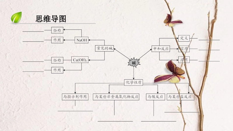 （深圳专用）中考化学总复习 第3部分 身边的化学物质 第12讲 常见的碱课件 （新版）新人教版_第3页