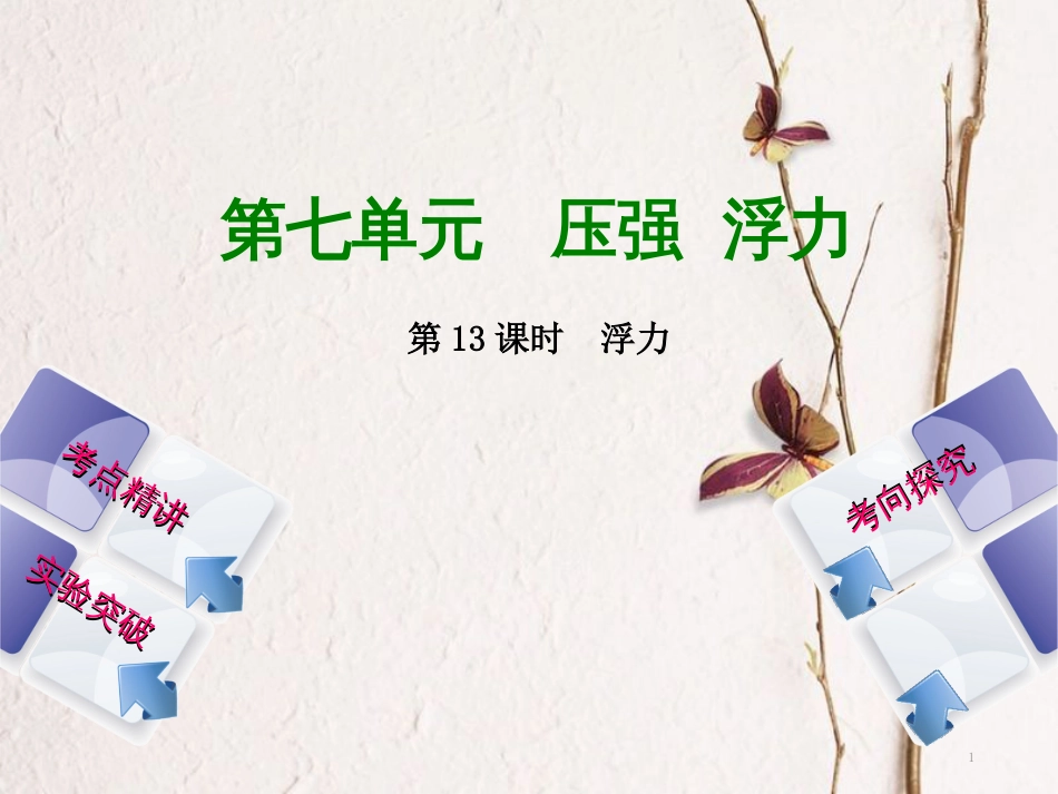 中考物理复习 第七单元 压强 浮力 第13课时 浮力课件(1)_第1页