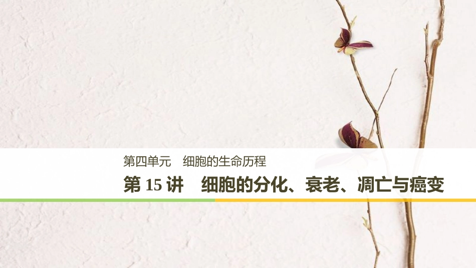 高考生物一轮复习 第4单元 细胞的生命历程 第15讲 细胞的分化、衰老、凋亡与癌变课件_第1页
