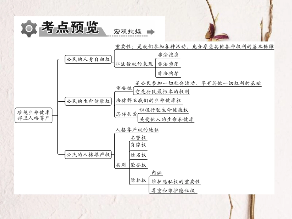 重庆市中考政治 专题复习八 依法维护人身权利课件(1)_第3页
