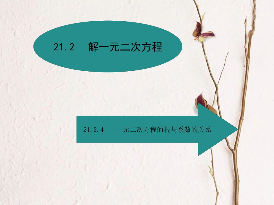 春九年级数学上册 21 一元二次方程 21.2 解一元二次方程 21.2.4 一元二次方程的根与系数的关系课件 （新版）新人教版_第1页