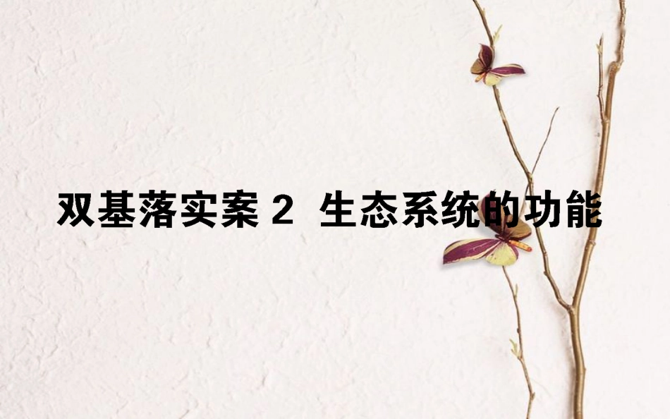 （全国通用）高考生物二轮复习 双基落实案2 生态系统的功能课件_第1页
