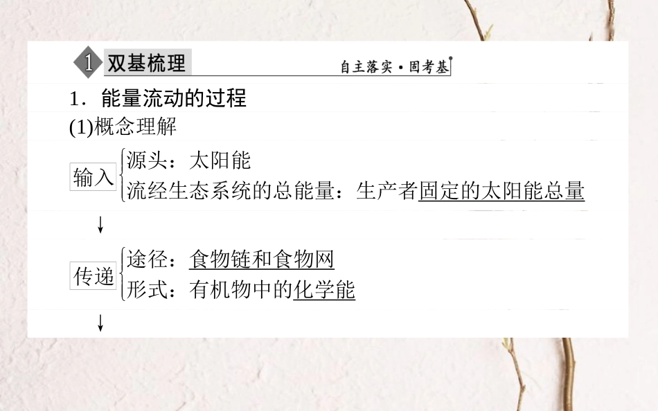 （全国通用）高考生物二轮复习 双基落实案2 生态系统的功能课件_第3页