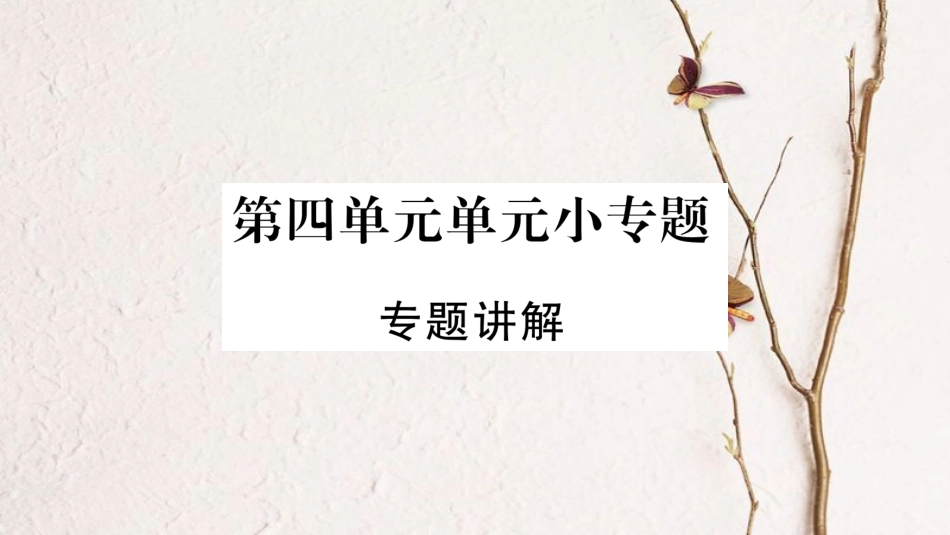 八年级历史下册 第四单元 民族团结与祖国统一小专题课件 新人教版_第1页