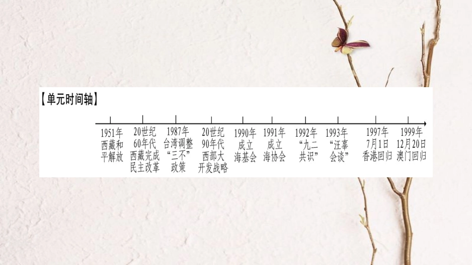 八年级历史下册 第四单元 民族团结与祖国统一小专题课件 新人教版_第2页