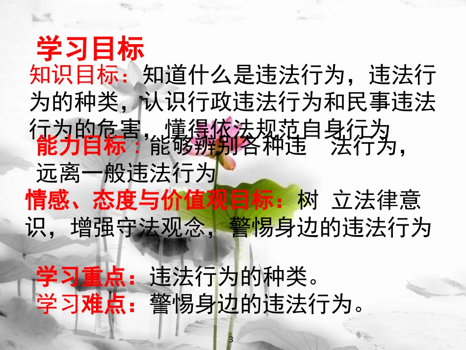 广东省河源市八年级道德与法治上册 第二单元 遵守社会规则 第五课 做守法的公民 第1框 法不可违（培优班）课件 新人教版_第3页