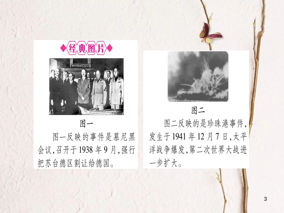 （桂林专用）中考历史总复习 第一篇 考点系统复习 第三板块 世界现代史（九下）第3、4单元 课件 岳麓版(1)_第3页