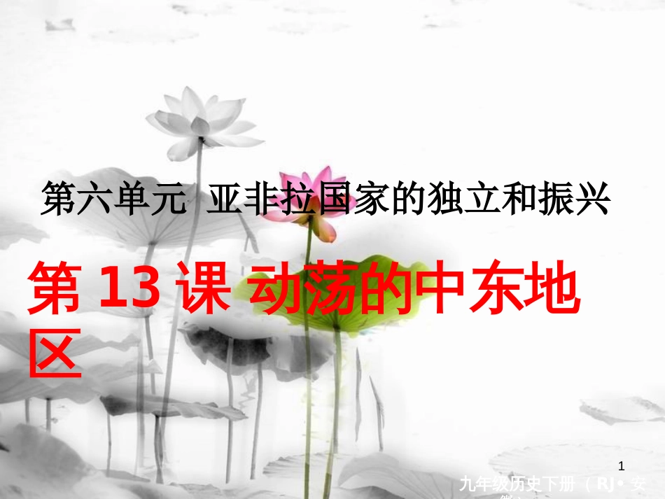 （安徽专版）九年级历史下册 第六单元 亚非拉国家的独立和振兴 第13课 动荡的中东地区同步测试课件 新人教版_第1页