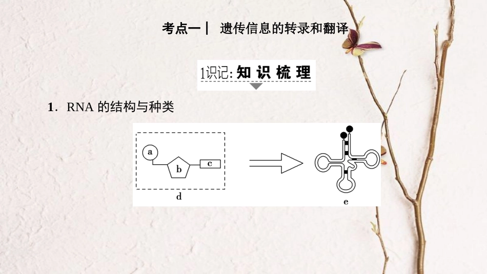 高三生物一轮复习 第6单元 第3讲 基因的表达课件 新人教版必修2(1)_第2页