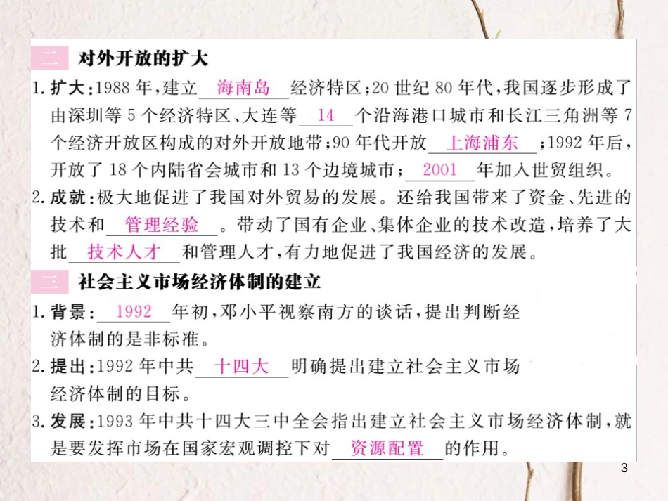 八年级历史下册 第三单元 社会主义现代化建设的新时期 第8课 改革开放的全面展开作业课件 川教版(1)_第3页
