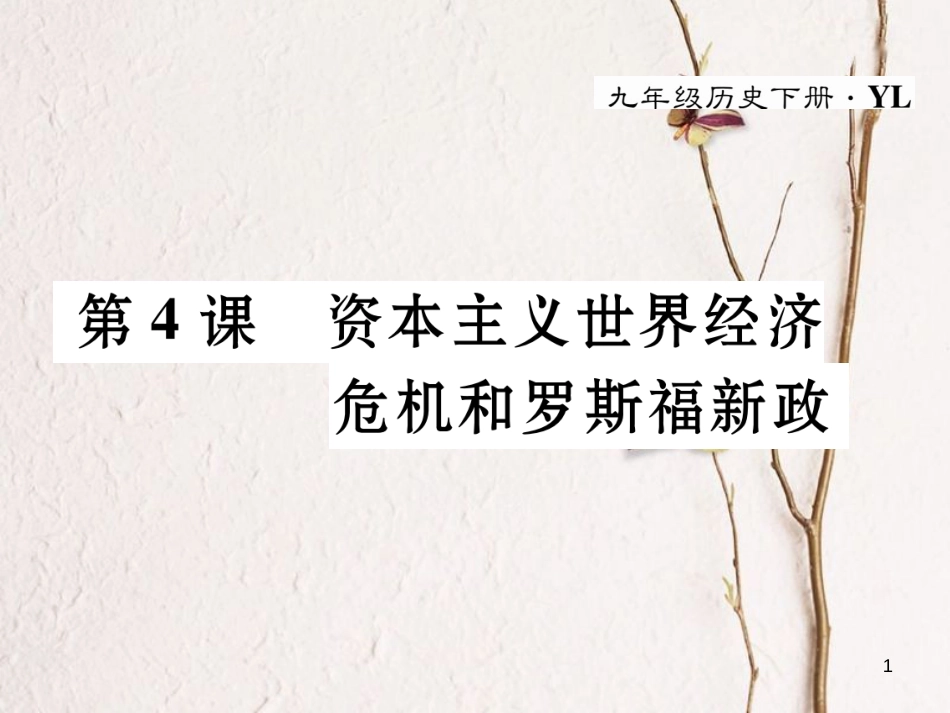 九年级历史下册 第二单元 凡尔赛—华盛顿体系下的东西方世界 第4课 资本主义世界经济危机和罗斯福新政作业课件 岳麓版_第1页