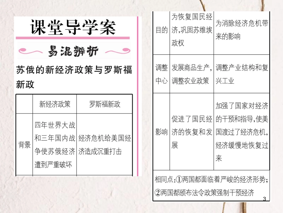 九年级历史下册 第二单元 凡尔赛—华盛顿体系下的东西方世界 第4课 资本主义世界经济危机和罗斯福新政作业课件 岳麓版_第3页