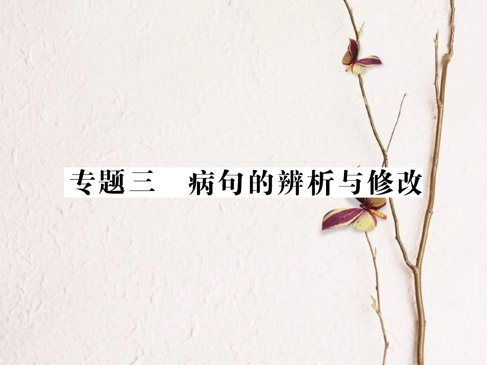中考语文二轮复习 专题突破讲读 第1部分 语言积累与运用 专题三病句的辨析与修改课件(1)_第1页