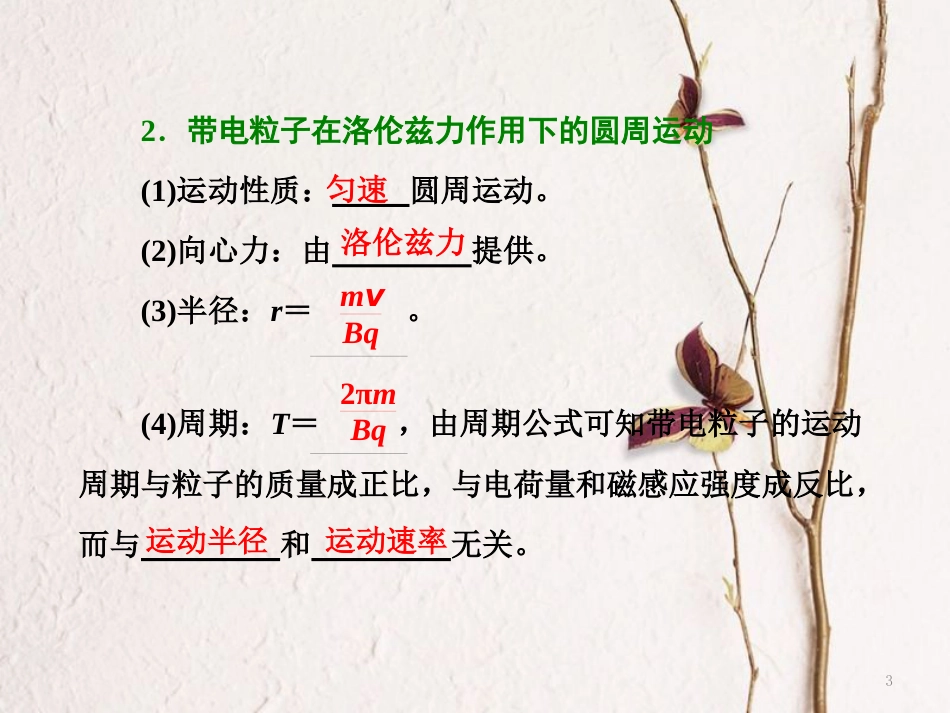 高中物理 第6章 磁场对电流和运动电荷的作用 第3节 洛伦兹力的应用课件 鲁科版选修3-1_第3页