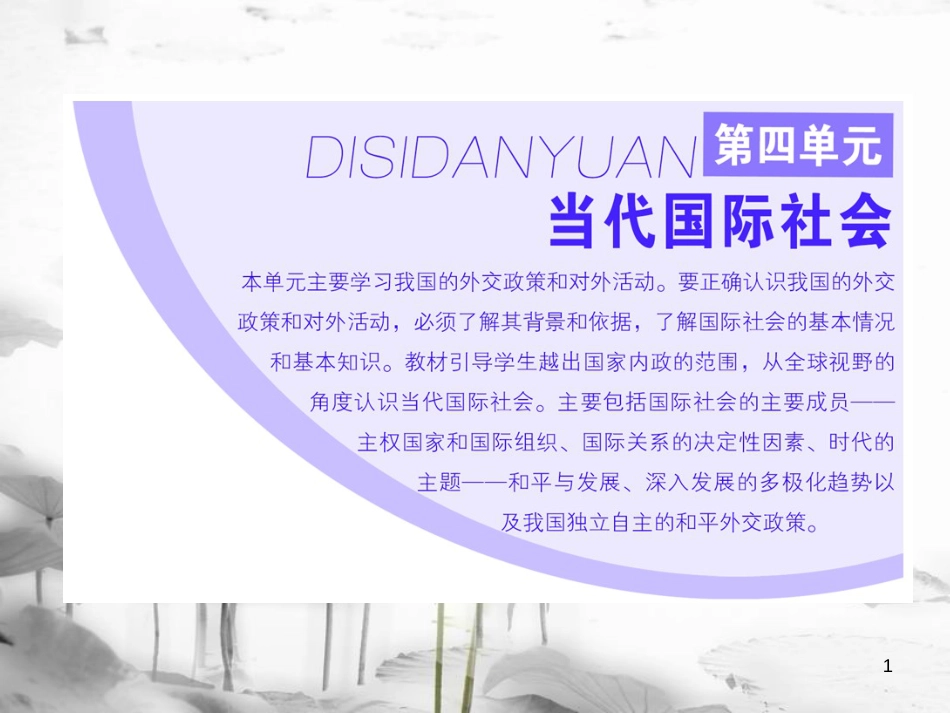 高中政治 第四单元 当代国际社会 第八课 走近国际社会 第一框 国际社会的主要成员：主权国家和国际组织课件 新人教版必修2_第1页