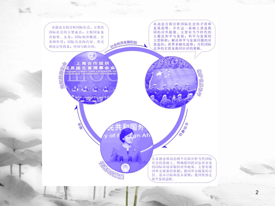 高中政治 第四单元 当代国际社会 第八课 走近国际社会 第一框 国际社会的主要成员：主权国家和国际组织课件 新人教版必修2_第2页