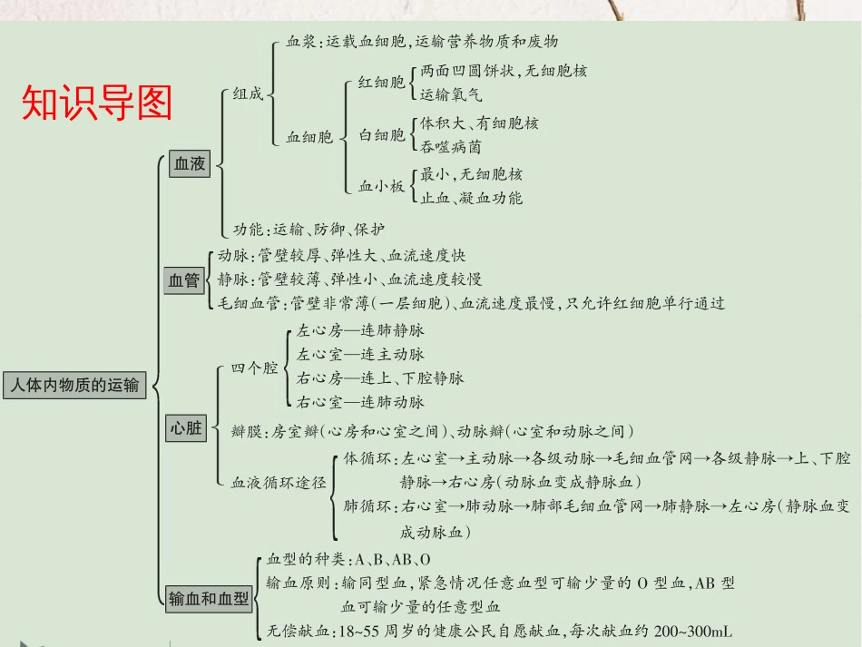 广东省中考生物 第四单元 生物圈中的人 第四章 人体内物质的运输课件(1)_第3页