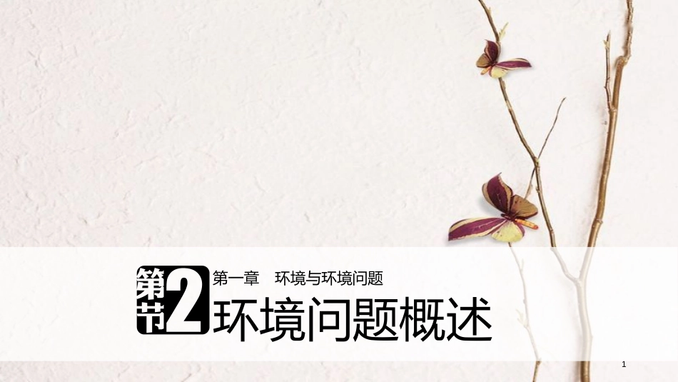 高中地理 第一章 环境与环境问题 第二节 环境问题概述同步备课课件 湘教版选修6_第1页