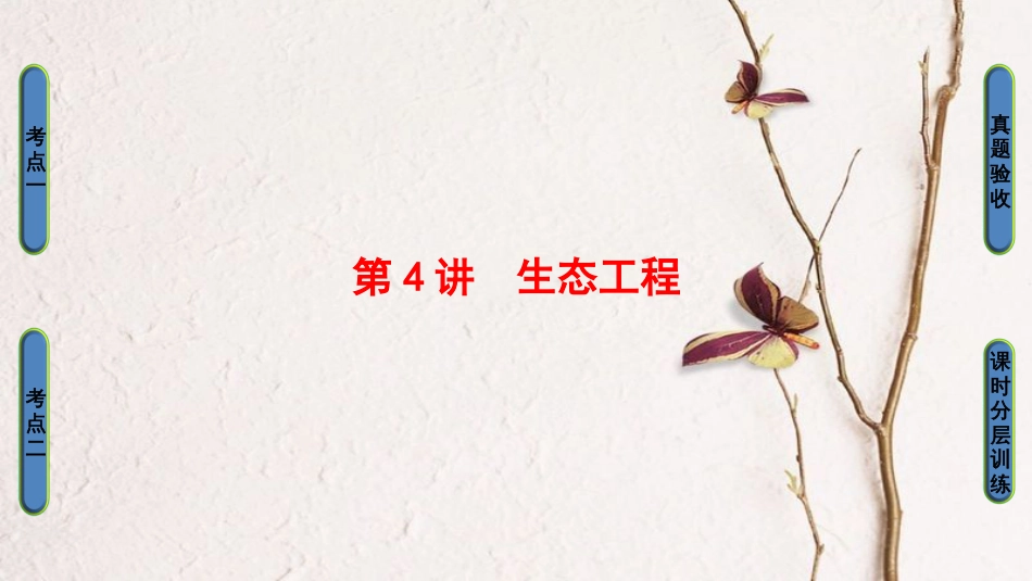 高三生物一轮复习 第4讲 生态工程课件 新人教版选修3_第1页