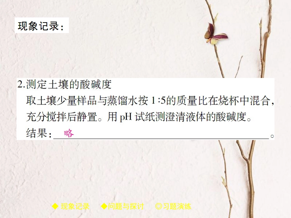 九年级化学下册 第10单元 酸和碱 实验活动7 溶液酸碱性的检验习题课件 (新版)新人教版_第2页