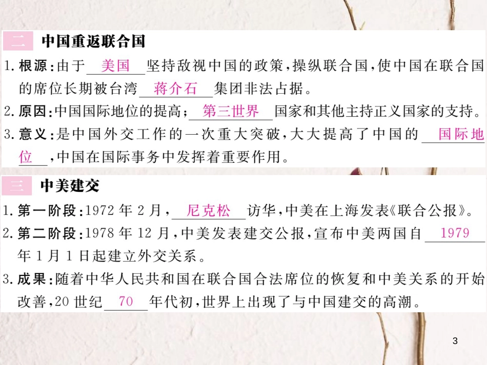 八年级历史下册 第五单元 国防、军队建设与和平外交 第16课 独立自主的和平外交政策作业课件 川教版_第3页