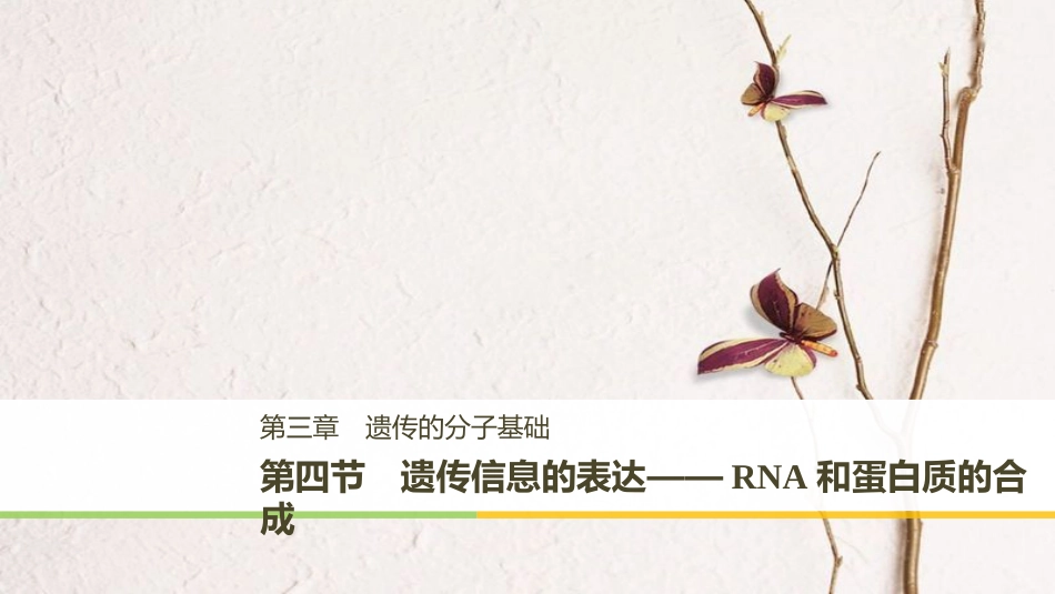 高中生物 第三章 遗传的分子基础 第四节 遗传信息的表达——RNA和蛋白质的合成课件 浙科版必修2_第1页