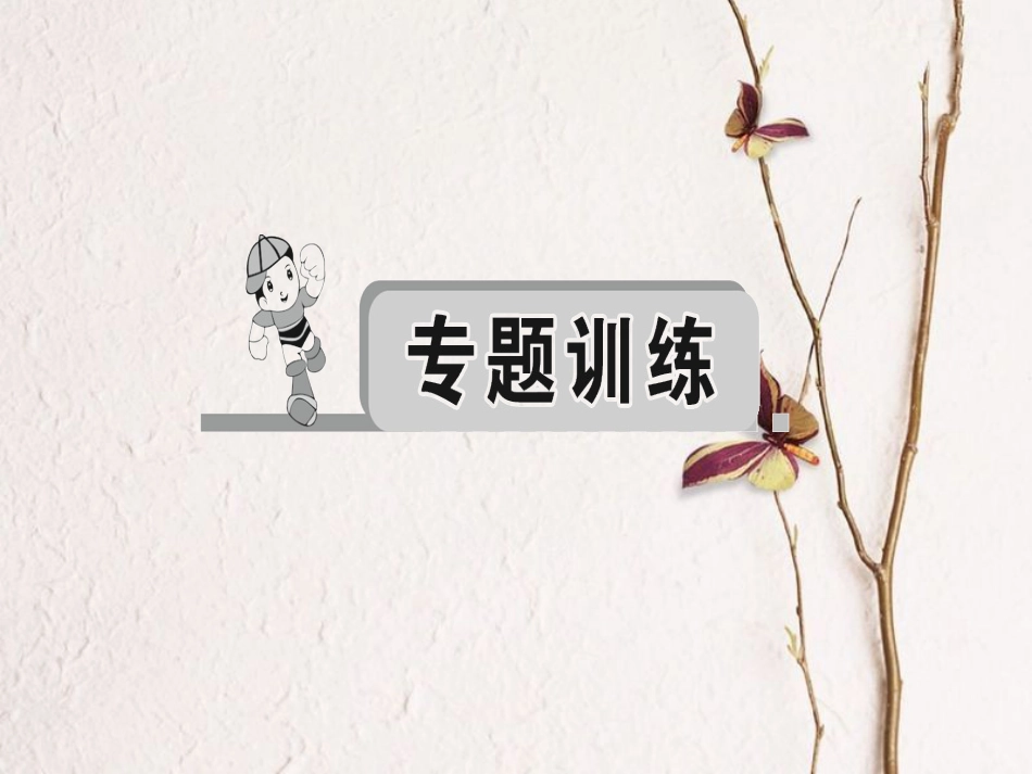 四川省中考物理复习 专题二 作图题课件_第2页