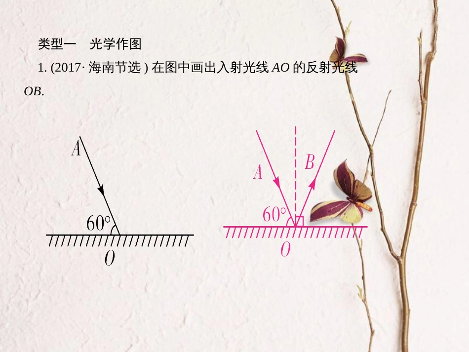 四川省中考物理复习 专题二 作图题课件_第3页