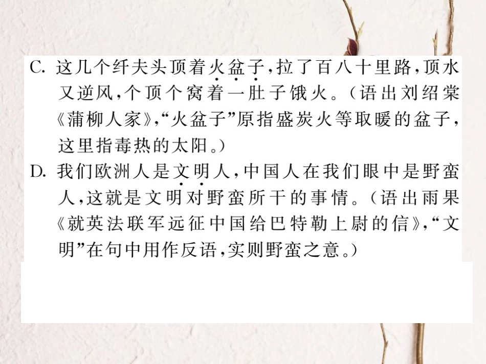 中考语文二轮复习 专题突破讲读 第1部分 语言积累与运用 专题二词语的理解与运用课件_第3页