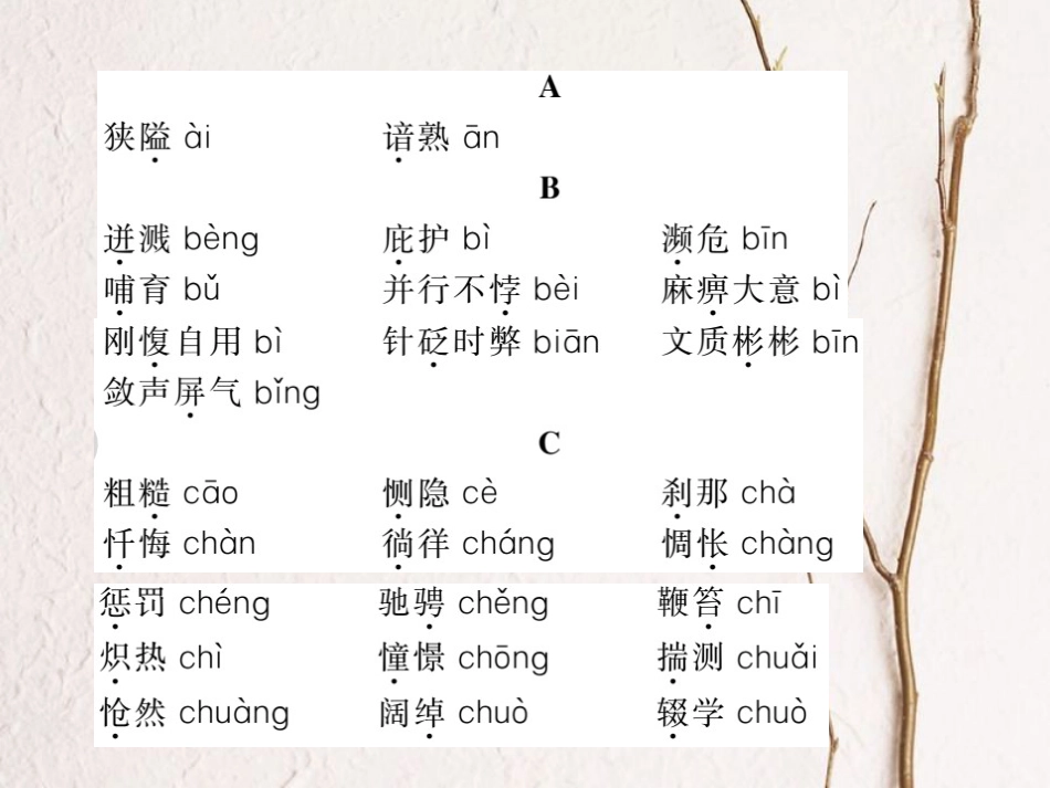 中考语文二轮复习 专题突破讲读 第1部分 语言积累与运用 知识清单一 初中生易错字音课件(1)_第2页