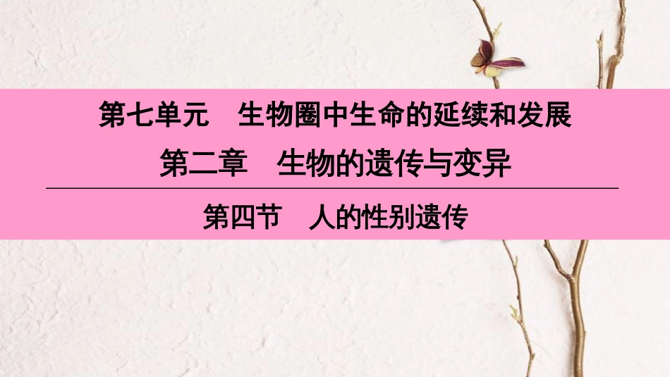 （深圳专用）八年级生物下册 第七单元 第二章 第四节 人的性别遗传课件 （新版）新人教版_第1页