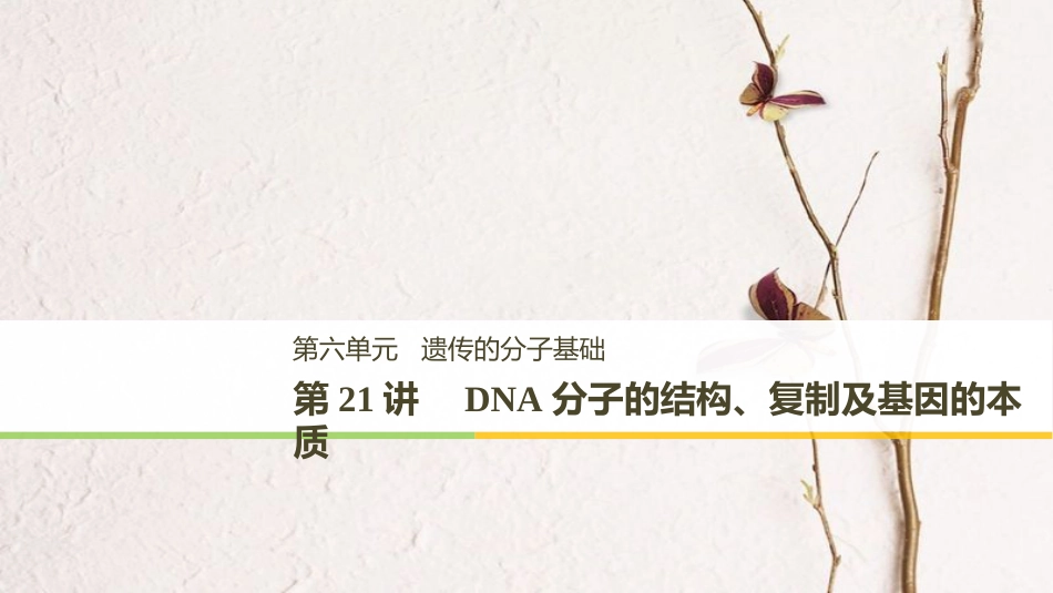 高考生物一轮复习 第6单元 遗传的分子基础 第21讲 DNA分子的结构、复制及基因的本质课件(1)_第1页