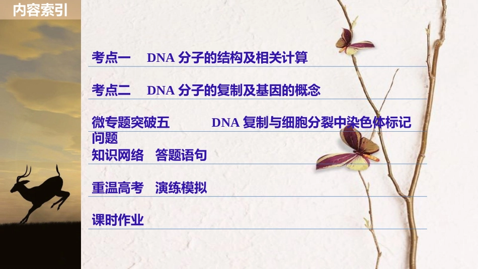 高考生物一轮复习 第6单元 遗传的分子基础 第21讲 DNA分子的结构、复制及基因的本质课件(1)_第3页