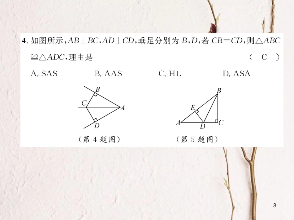 （毕节专版）八年级数学下册 期中达标测试卷作业课件 （新版）北师大版_第3页