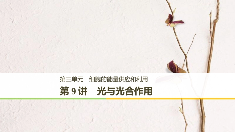 高考生物大一轮复习 第三单元 细胞的能量供应和利用 第9讲 光与光合作用课件_第1页