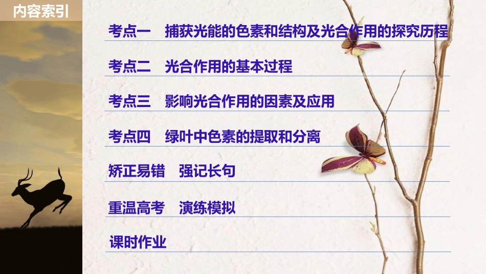 高考生物大一轮复习 第三单元 细胞的能量供应和利用 第9讲 光与光合作用课件_第3页