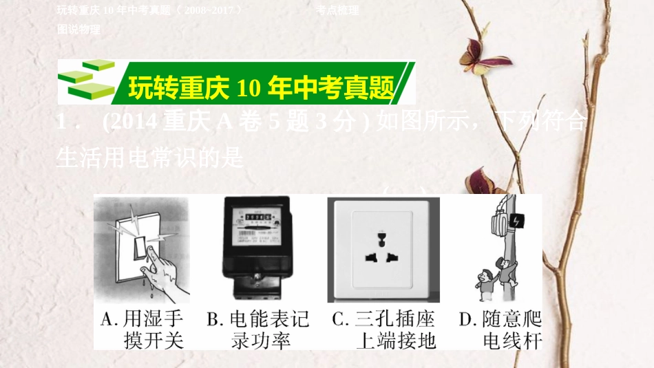 重庆市中考物理总复习 第15讲 生活用电课件(1)_第2页
