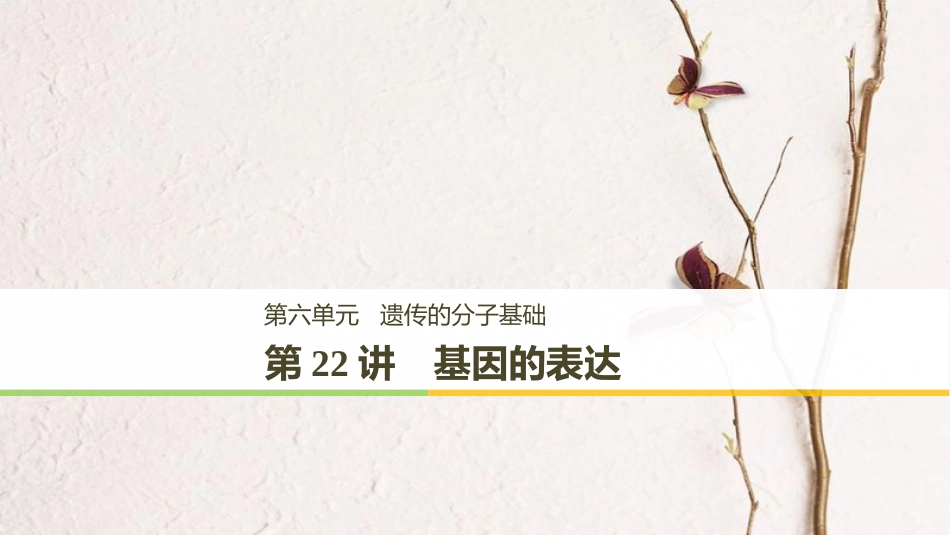 高考生物一轮复习 第6单元 遗传的分子基础 第22讲 基因的表达课件_第1页