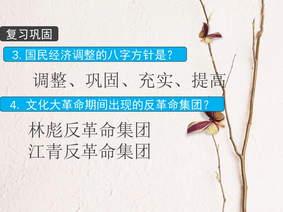 八年级历史下册 第三单元 中国特色社会主义道路 第7课 伟大的历史转折课件1 新人教版_第2页
