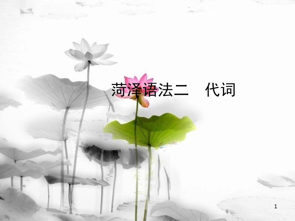 山东省菏泽市中考英语总复习 语法二 代词课件_第1页