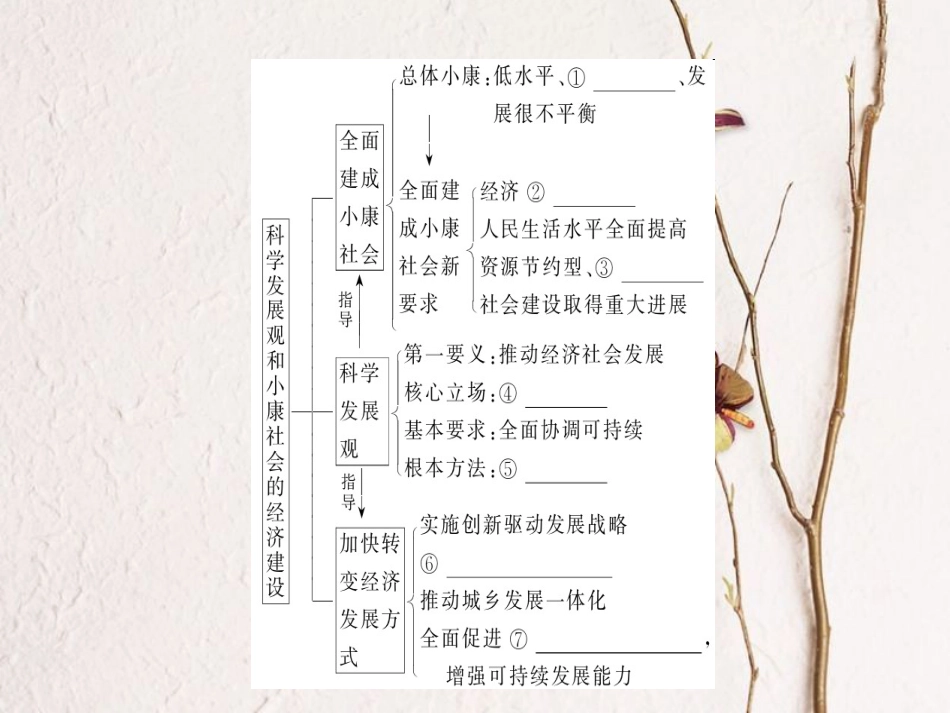 2019年高考政治一轮复习 第四单元 发展社会主义市场经济 10 科学发展观和小康社会的经济建设课件 新人教版必修1[共50页]_第3页