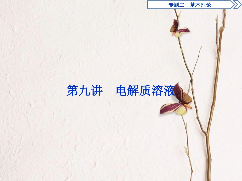 高考化学二轮复习 专题二 基本理论 第9讲 电解质溶液课件_第1页