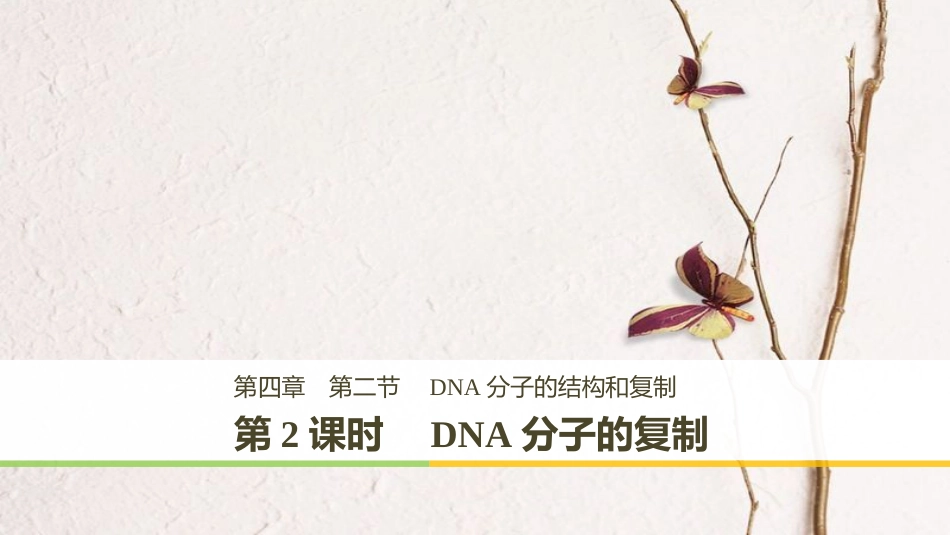 版高中生物 第四章 遗传的分子基础 第二节 DNA的结构和DNA的复制 第2课时课件 苏教版必修2_第1页