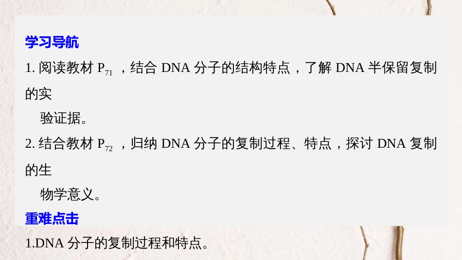 版高中生物 第四章 遗传的分子基础 第二节 DNA的结构和DNA的复制 第2课时课件 苏教版必修2_第2页