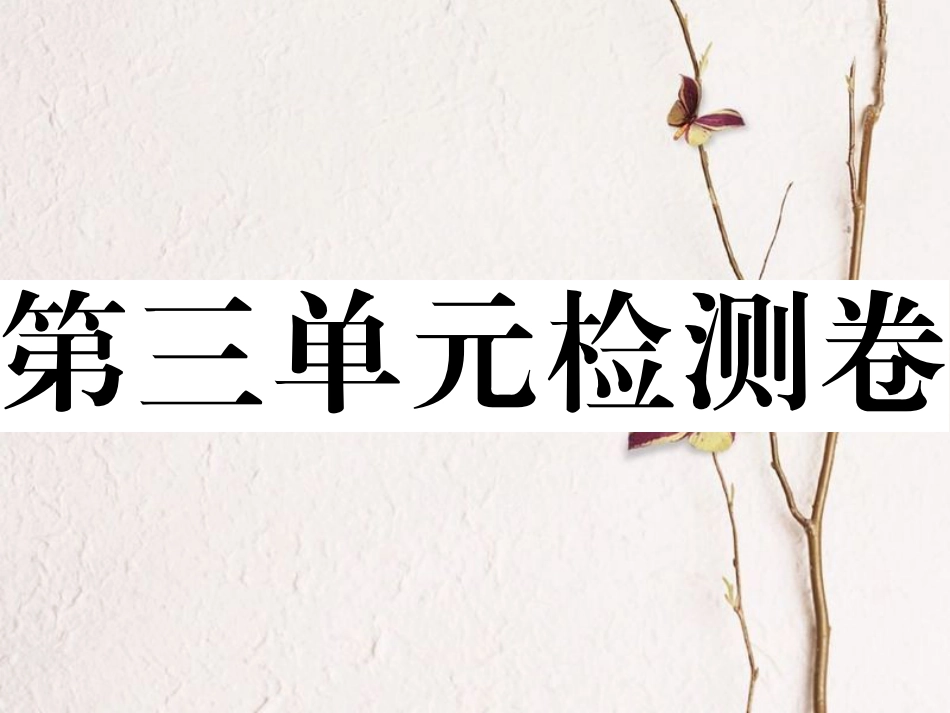 八年级历史下册 第三单元 检测卷讲评课件 岳麓版_第1页