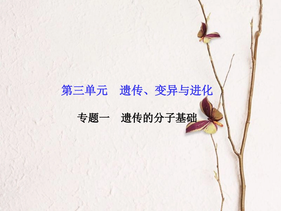 高考生物二轮复习 第三单元 遗传、变异与进化 专题一 遗传的分子基础课件_第1页