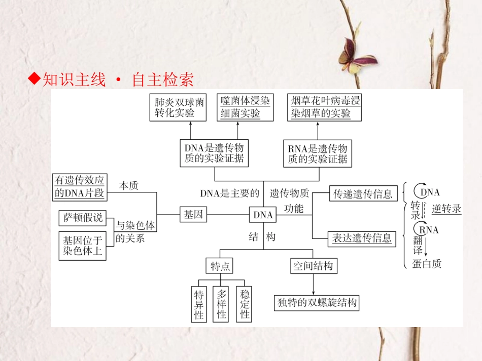 高考生物二轮复习 第三单元 遗传、变异与进化 专题一 遗传的分子基础课件_第2页