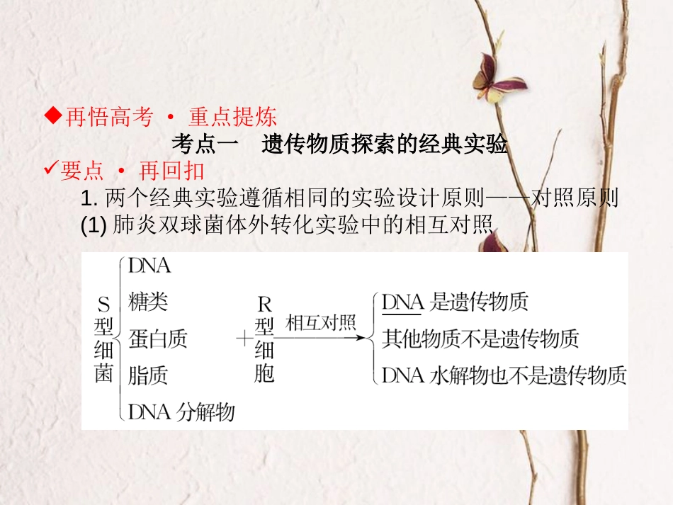 高考生物二轮复习 第三单元 遗传、变异与进化 专题一 遗传的分子基础课件_第3页